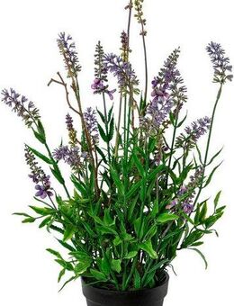 Kunstblume Lavendel im Topf Lavendel, Creativ green, Höhe 48 cm