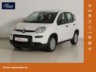 Fiat Panda, 1.0 GSE Hybrid, Jahr 2024 - Pilsach