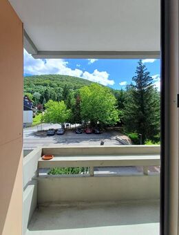 Provisionsfrei für Käufer: freies, teilmöbliertes + sonniges Südbalkon-Apartment mit Lift - Bad Harzburg