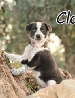 Claudia stellt sich vor🍬🎈 - Essingen (Rheinland-Pfalz)