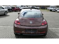 VW Beetle Design/Panorama/Navi/Euro6/PDC - Adelheidsdorf