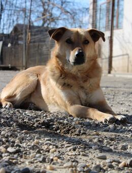 Tina sucht ihr Glück - Celle