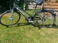 Damen Pegasus Citybike - Unna