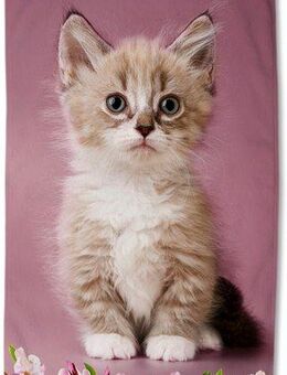 good morning Strandtuch Look, Velours (Packung, 1-St), Mikrofaser, 75x150, Schnelltrocknend, Kind, Mädchen, Katze, Rosa