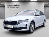 Skoda Octavia, 2.0 TDI Combi Selection, Jahr 2022 - Schlüchtern