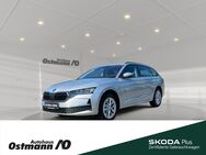 Skoda Octavia, Combi Selection 110kw TDI, Jahr 2024 - Niestetal