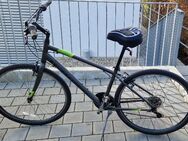 SPECIALZED CRUISER Retro Modell "CROSSROADS" 26-Zoll -21-Gänge - Stuttgart