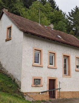 Mit handwerklichem Geschick ins Eigenheim - Nerzweiler