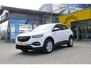 Opel Grandland X 1.5 D Edition *LED*SHZ* - Meppen