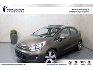 Kia Rio Platinum Edition KAMERA LEDER NAVI SHZ TEMPO - Wardenburg