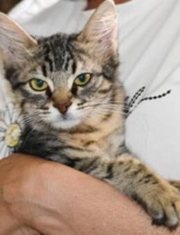 Pamela wünscht sich Familie - Neuss