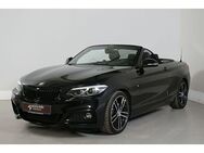 BMW 230 i Cabrio M Sport Aut. LED Navi H&K el. S - Paderborn