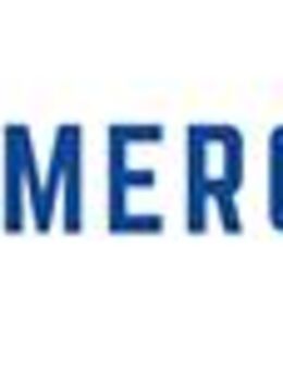 Cyber Security Coordinator (Germany) (m/w/d) - Harra