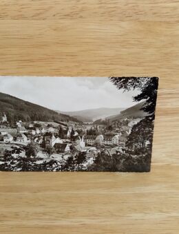 Ansichtskarte-AK-689-Herrenalb, Blick vom Marienweg. - Nörvenich