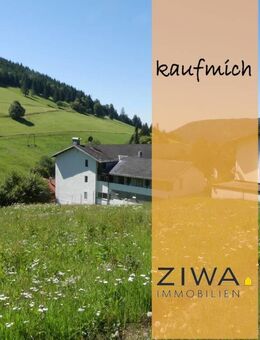 Einzugsfertig und tip top hergerichtet, alles! neu! gemacht, hell und freundlich. - Todtnau