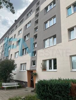 +++Geräumige 2Raumwohnung in Bad Düben+++EBK möglich+++günstiger Strom - Bad Düben