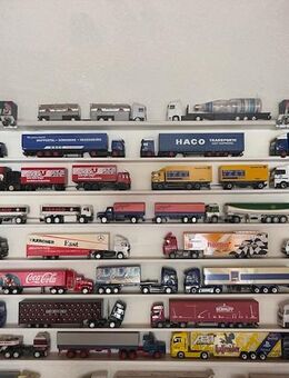 80 LKW Modelle mit Vitrine - Zweibrücken