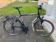 City-/Trekking Herren Fahrrad Jamaica 28 Zoll - Erlangen