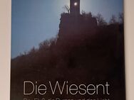 Die Wiesent - Der Fluss, die Burgen und das Licht - Herbert Liedel, Helmut Dollhopf - Nürnberg