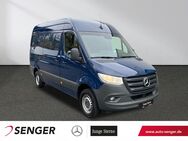 Mercedes Sprinter, 316 KA L2H2 BOTT Holz, Jahr 2019 - Oldenburg