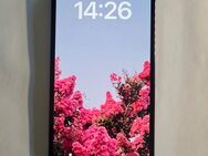 iPhone 13 Pro 256GB Sierrablau - Spelle