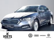 Skoda Octavia, 1.5 Lim Ambition eTSI, Jahr 2022 - Braunschweig