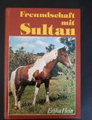 Freundschaft mit Sultan (Gebunden) in 45259