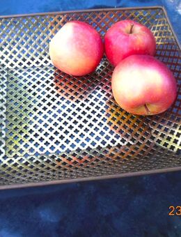 Obstkorb aus Metall - Handarbeit - München Maxvorstadt