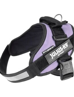 Julius-K9 IDC® Powerharness, lila - Größe M/0: Brustumfang 58 - 76 cm