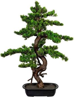 Kunstbonsai Bonsai Bonsai, Creativ green, Höhe 85 cm