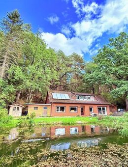 "Einziehen, abschalten, genießen - Leben wie im Urlaub" Einfamilienhaus auf Naturgrundstück in Bispingen / Hützel - Bispingen