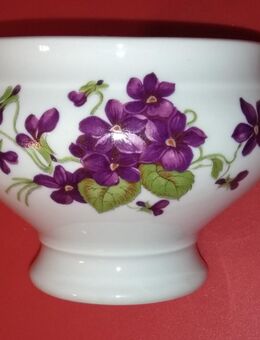 Weiße Suppentasse mit lila Veilchen und Bärenkopf-Henkeln - Hannover