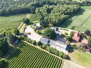 Bürofläche + Lagerfläche = die ideale Gewerbeimmobilie in Wagenfeld! - Wagenfeld