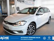 VW Golf Variant, 1.6 TDI Golf 7, Jahr 2017 - Blomberg (Nordrhein-Westfalen)