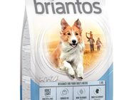 Briantos Adult Light - 1 kg