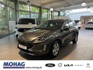 Ford Kuga, Cool & Connect DIESEL, Jahr 2023 - Recklinghausen