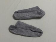 Socken zu verkaufen für 5€ - Gütersloh