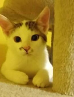 Einmal Sissi, immer Sissi - München