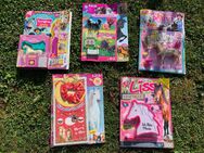 Pferdezeitschriften mit Postern, Comics,Pferdefiguren,Neu - Pfaffenhofen (Roth)