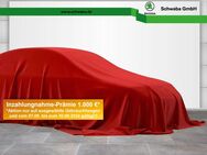 Skoda Octavia, 2.0 TDI Combi HdUp 8-fach, Jahr 2021 - Augsburg