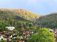 Großzügige, gepflegte 3-Zimmer-Dachgeschosswohnung mit Balkon und traumhaften Ausblick! - Bad Harzburg