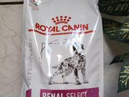 Royal canin renalselect - Aachen