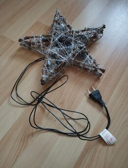 Weihnachtsstern - Dresden