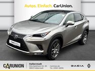 Lexus NX 300, Executive Line, Jahr 2020 - Halberstadt