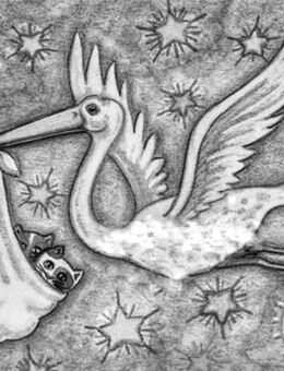 Wurfankündigung 2026 - Salzgitter