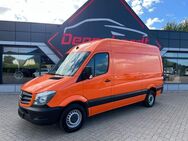 Mercedes-Benz Sprinter II Kasten 314 CDI NAV KAMERA SORTIMO - Mönchhagen