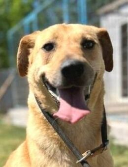 FINA bettelt um Hilfe - Hof