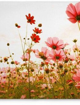 A.S. Création Leinwandbild Flower Meadow, Blumen, Kinder, Kunst (1 St), Mohnblume Keilrahmen Blumenwiese Leinwand-Bild Wohnzimmer modern Wand