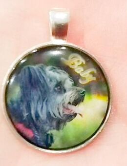 Adressanhänger, Hundeanhänger, Hundehalsband, Gedenkanhänger, Geschenk Geschenkidee, Fotoanhänger, Schmuck, Kettenanhänger, Schlüsselanhänger - Moormerland