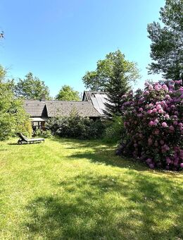 Sanierungsbedürftiges, verborgenes Paradies für Naturliebhaber und Romantiker - Bienenbüttel